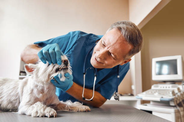 Best Root Canal Emergency Dentist  in Spotswood, NJ